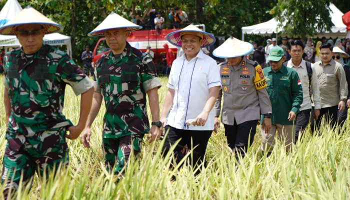 Wakil Ketua DPRD Sulsel Yasir Machmud Hadiri Panen Raya di Bone, Sampaikan Apresiasi ke Petani