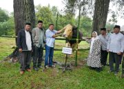 Bupati Sinjai Serahkan Sapi Kurban Bantuan Presiden Prabowo Subianto ke Masjid Besar Ikhwanusshafaa