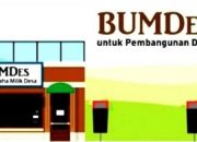 92 Bumdes Aktif, 17 Macet di Bulukumba, Kejari Ungkap Kasus Pengembalian Dana