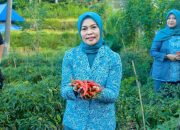 Usai Lantik TP PKK Bulukumpa, Andi Herfida Kunjungi Lokasi Gemoih di Desa Bulo Bulo