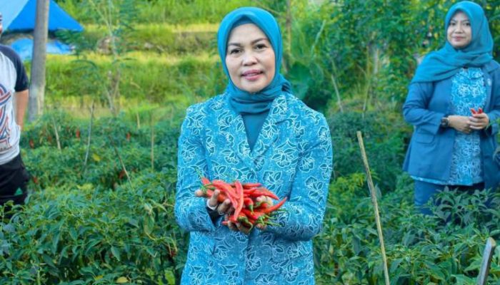 Usai Lantik TP PKK Bulukumpa, Andi Herfida Kunjungi Lokasi Gemoih di Desa Bulo Bulo