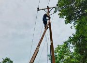 Koneksi Kuat PLN Icon Plus di Musim Pancaroba Tetap Setia Mendukung Kenyamanan Komunikasi Pelanggan