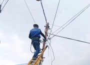 Perkuat Kolaborasi, PLN Icon Plus Intensifkan Penataan Jaringan Fiber Optik
