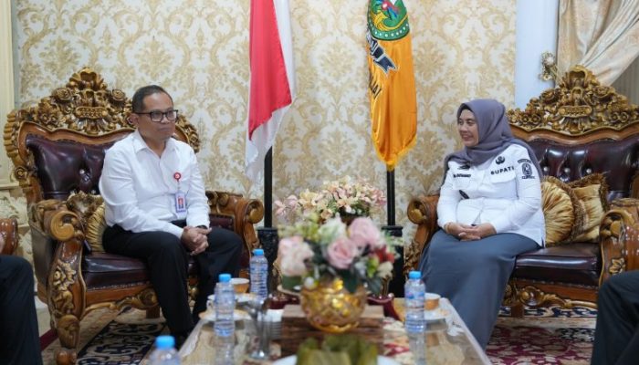 OJK Temui Bupati Sinjai, Dorong Akses Keuangan untuk Petani, Nelayan dan Peternak