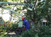 Dispar dan Kecamatan Ujung Pandang Dukung Aksi Jumat Bersih DLH Makassar