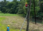 Setiap Layanan Jaringan Aman & Andal Bersama PLN Icon Plus