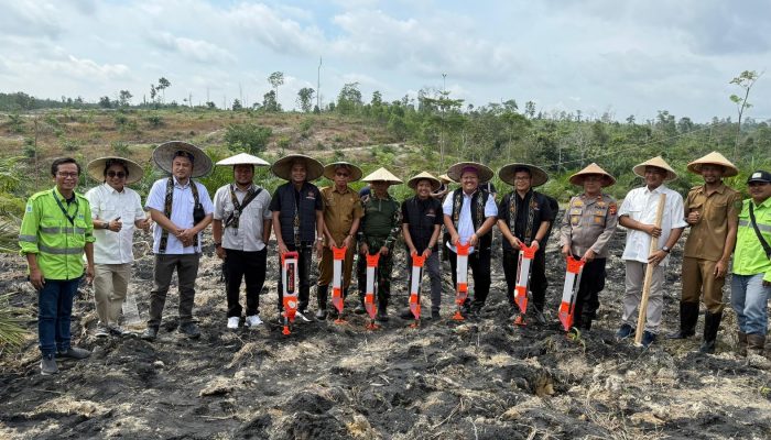 Gerakan Sejuta Tugal di Berau, Pemuda Tani Indonesia Tanam Padi Gogo 2025