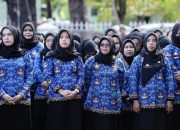 Besok Pemprov Sulsel Lantik 4.047 PPPK Tahap 2 dan Paruh Waktu