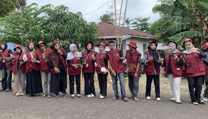 Dihadiri Bupati Bone, Mahasiswa KKN UMSi Kecamatan Patimpeng Sukseskan Program Menanam 1.000 Pohon