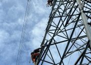 Penguatan Backbone Telekomunikasi, PLN Icon Plus Tingkatkan Konektivitas di Barru
