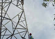 Perkuat Keandalan Jaringan, PLN Icon Plus Lakukan Penarikan Kabel FOC ADSS Tello-Kima