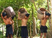 Pemkab Bulukumba Apresiasi Putusan PN Bulukumba yang Meneguhkan Hutan Adat Ammatoa Kajang