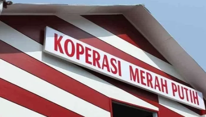 Diduga Tak Sesuai Kontrak, Proyek Koperasi Desa Merah Putih ‘Andalan Prabowo’ di Wajo Bersoal