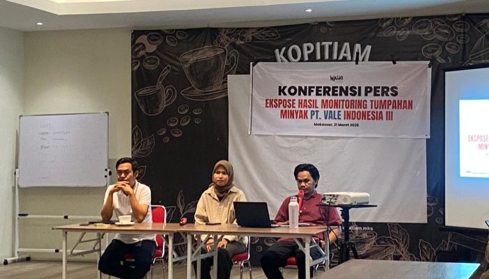 Pencemaran Meluas hingga Danau Towuti, WALHI Sulsel Desak Tanggung Jawab PT Vale