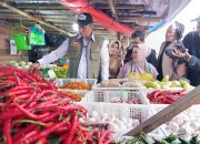 Cek Harga Pangan di Pasar Terong, Dirut Bulog Pastikan Sesuai HET dan HAP