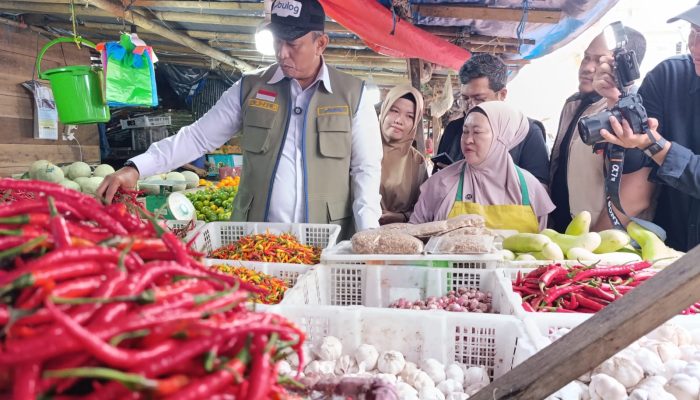 Cek Harga Pangan di Pasar Terong, Dirut Bulog Pastikan Sesuai HET dan HAP