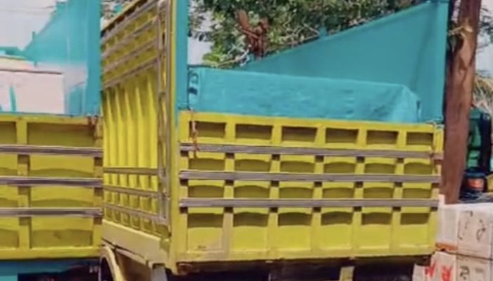 Klarifikasi CV Mitraku: Armada Truk Kuning Beroperasi untuk Angkut Udang, Bukan Aktivitas Pelangsiran BBM