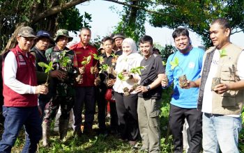 Camat Panakkukang Tanam 1.000 Pohon di Pampang, Perkuat Mitigasi Iklim