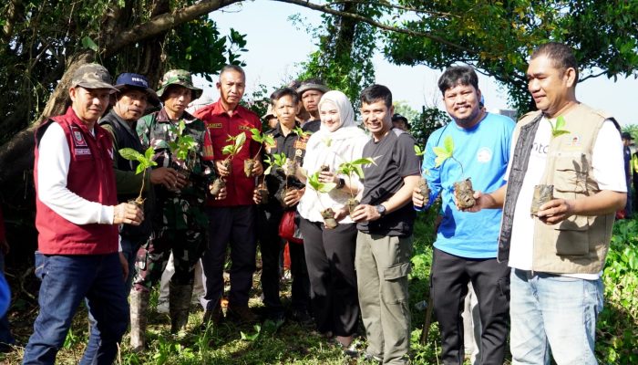 Camat Panakkukang Tanam 1.000 Pohon di Pampang, Perkuat Mitigasi Iklim