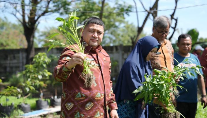 Kunjungi Dua Lokasi, Appi Pastikan Urban Farming Jadi Prioritas di Semua Kecamatan