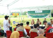 Panen Raya di Bontoharu, Bupati Andi Utta Tekankan Pentingnya Ketahanan Pangan dan Modernisasi Pertanian