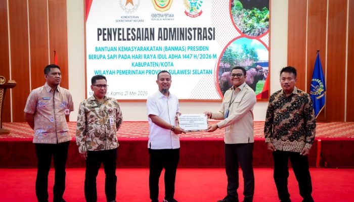 Presiden Prabowo Salurkan 25 Ekor Sapi Kurban untuk Sulsel, Gubernur Andi Sudirman: Untuk Warga Membutuhkan