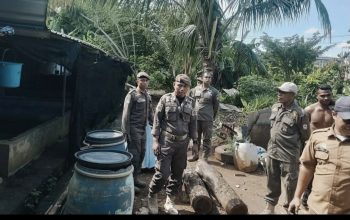 Kandang Babi di Gudang Farmasi Tamalate Ditangani Persuasif, Dipindahkan