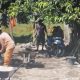 Dinas PU Kota Makassar Tindak Lanjuti Aduan Lontara+ dengan Pemasangan Paving Blok di Jl. Birta Raya