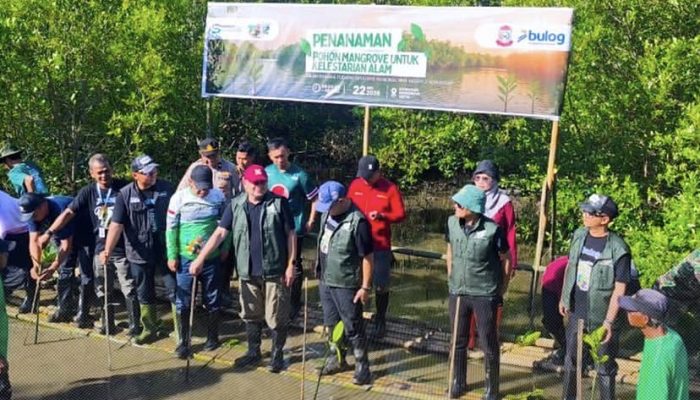 Camat Biringkanaya Dampingi Wali Kota Makassar Tanam Mangrove di Kelurahan Untia