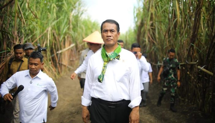 Menuju Swasembada Gula, Kementan Turunkan Tim Investigasi Produksi dan Rendemen Tebu