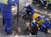 Usai Penertiban Lapak PKL, Dinas PU Makassar Benahi Trotoar dan Drainase Bulogading