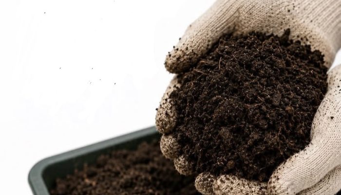 DLH Makassar Ajak Warga Kelola Sampah Organik dengan Cara Tepat melalui Kompos Rumah Tangga