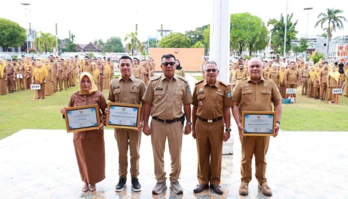 Bupati Andi Utta Beri Penghargaan kepada Tiga OPD Berprestasi dalam Pelayanan Publik