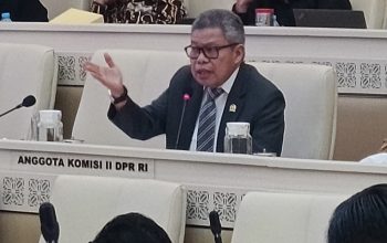 Taufan Pawe Semprot Ombudsman RI di DPR: Sentil Kasus Nonjob ASN hingga Dugaan Malpraktik RS, Minta Lembaga Punya Nyali!