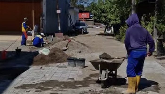 Tindak Lanjuti Aduan Lontara+, Dinas PU Makassar Pasang Paving Blok di Jl. Parumpa