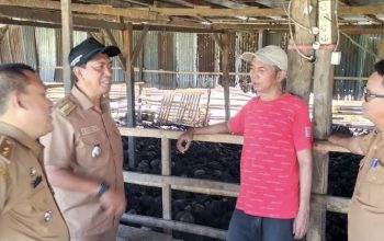 Camat Manggala dan DLH Makassar Siapkan Kawasan Pengelolaan Sampah Organik di TPA Tamangapa