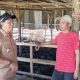 Camat Manggala dan DLH Makassar Siapkan Kawasan Pengelolaan Sampah Organik di TPA Tamangapa