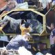 Gercep Pasca-Kebakaran, Perumda Pasar Bersihkan Puing dan Dampingi Pedagang Pa’baeng-baeng